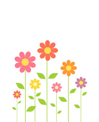 Obraz na płótnie Canvas Spring colorful flowers