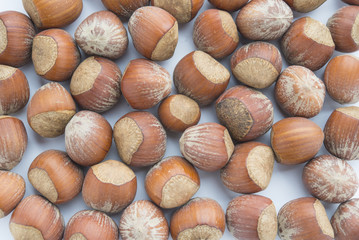 Nuts