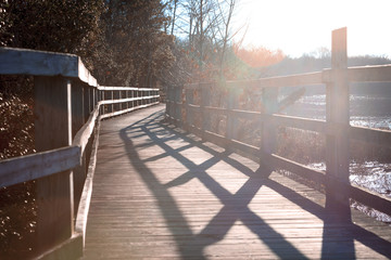 Boardwalk through the marsh (horizontal)