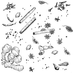 kitchen herbs doodle