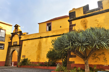 Musée des arts contemporains de Funchal