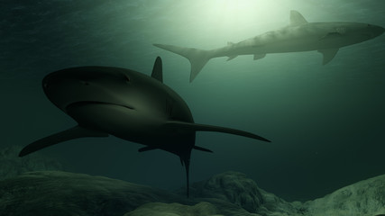 Computer generated sharks swimming close to the ocean floor
