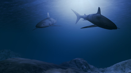 Computer generated sharks swimming close to the ocean floor