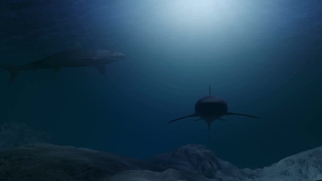 Computer generated sharks swimming close to the ocean floor