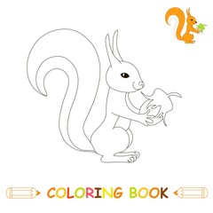 Children coloring page vector illustration, cute squirrel in monochrome and colour version for kids coloring book