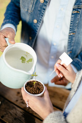 Young couple planting seedlings