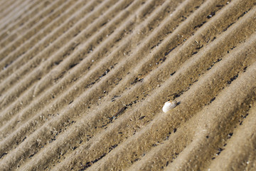 sand on the beach