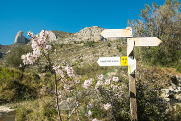 Hiking signpost