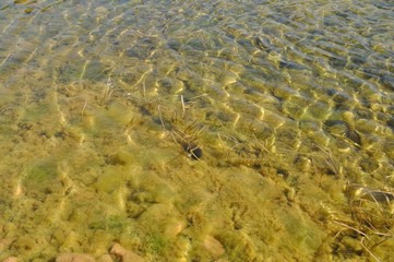 Agua cristalina