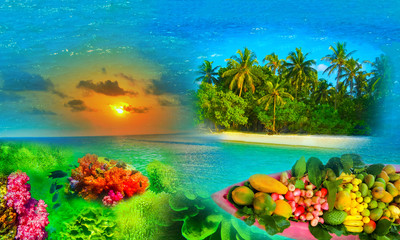 Fototapeta na wymiar The abstract tropical island