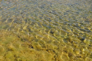 Agua cristalina