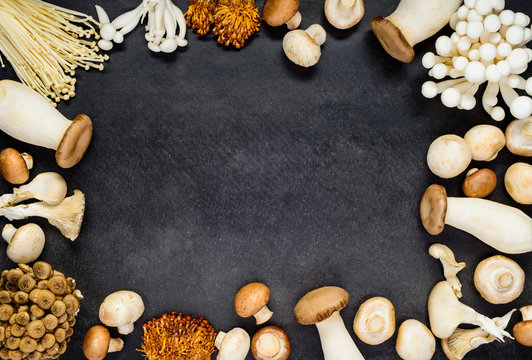 Mushrooms Frame Copy Space
