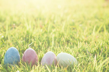 Easter eggs in Fresh Green Grass.