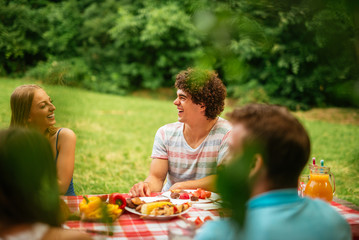 Picnic with friends