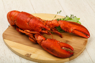 Lobster