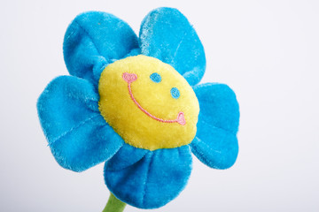 colored flowers smiling