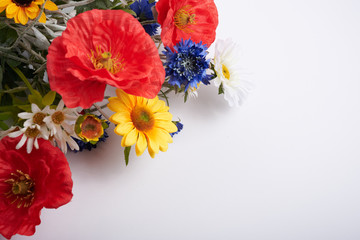 colored flowers on a white background
