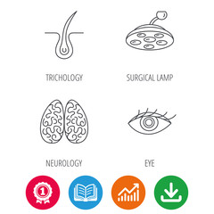 Eye, neurology brain and surgical lamp icons. Trichology linear sign. Award medal, growth chart and opened book web icons. Download arrow. Vector