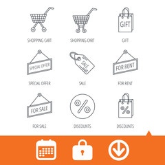 Shopping cart, gift bag and sale coupon icons. Special offer label linear signs. Discount icon. Download arrow, locker and calendar web icons. Vector