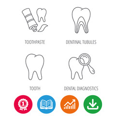 Tooth, dental diagnostics and toothpaste icons. Dentinal tubules linear sign. Award medal, growth chart and opened book web icons. Download arrow. Vector
