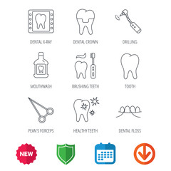 Stomatology, tooth and dental crown icons. X-ray, mouthwash and dental floss linear signs. Toothache, forceps icons. New tag, shield and calendar web icons. Download arrow. Vector