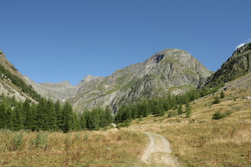 Fototapeta na wymiar Sentier de randonnée dans le Champsaur, Alpes