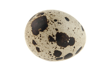 quail egg isolated on white background