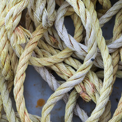 Loose coils of nylon rope, yellow and white colour.