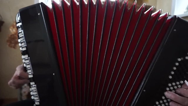 musical instrument Bayan