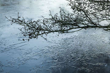 Fototapeta na wymiar Winter landscape of frozen pond and trees.