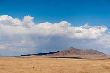 Fototapeta na wymiar Mongolian wild steppe