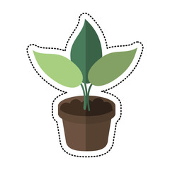 cartoon pot plant garden concept vector illustration eps 10
