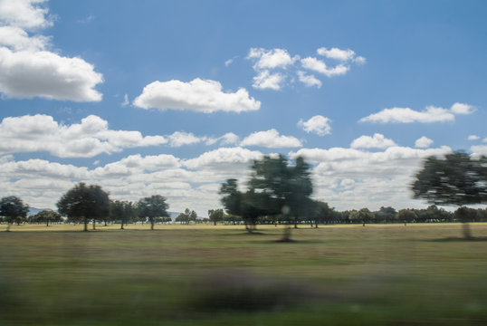 Meadow through the window of a moving car, field with oaks and cork oaks in Toledo (Spain). The photo tells the movement on the road through the fields of the spanish plateau.