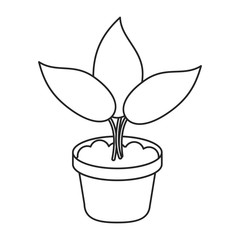 pot plant garden concept thin line vector illustration eps 10
