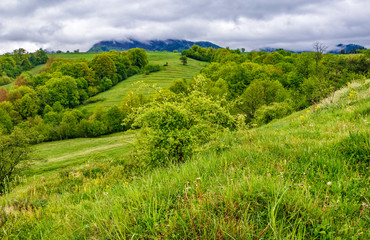 rural area in Carpathian valley