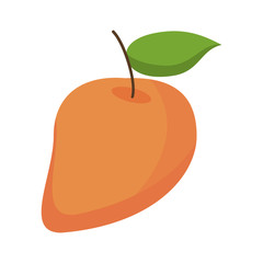 mango juicy fruit icon vector illustration eps 10
