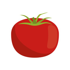 tomato vegetable healthy icon vector illustration eps 10