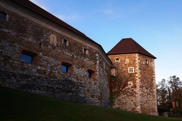 Fototapeta na wymiar Castle in Ljubljana city in Slovenia