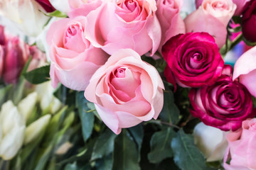 Bunch of big pink red and tea roses