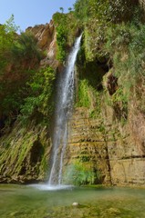 David's Waterfall. En Gedi Nature reserve