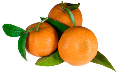 Orange fruits isolated