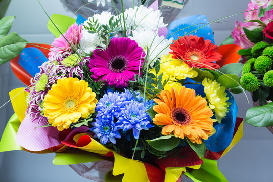 Fototapeta bunch of big fresh orange pink red gerbera chamomile and big white yellow blue chrysanthemum flower