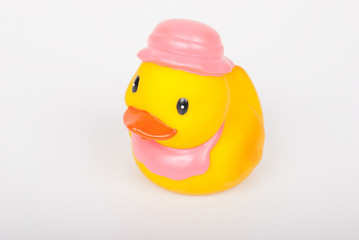 rubber duck
