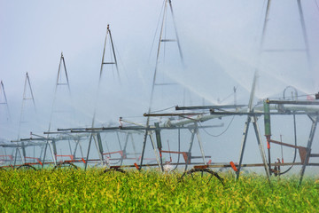 Device to water the fields