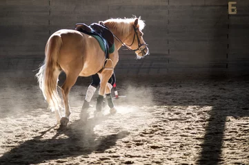Fotobehang paard © Riccardo Meloni