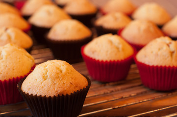 baking cupcake, muffins on Oven-tray close up