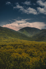 Smokey Mountains 