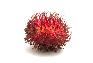 rambutan fruit isolated