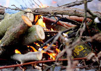Burning wood in a brazier. Fire.