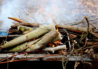 Burning wood in a brazier. Fire.